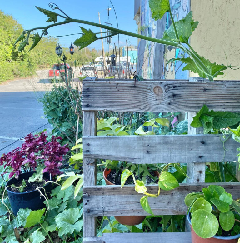 About Us SpeakeasyFam