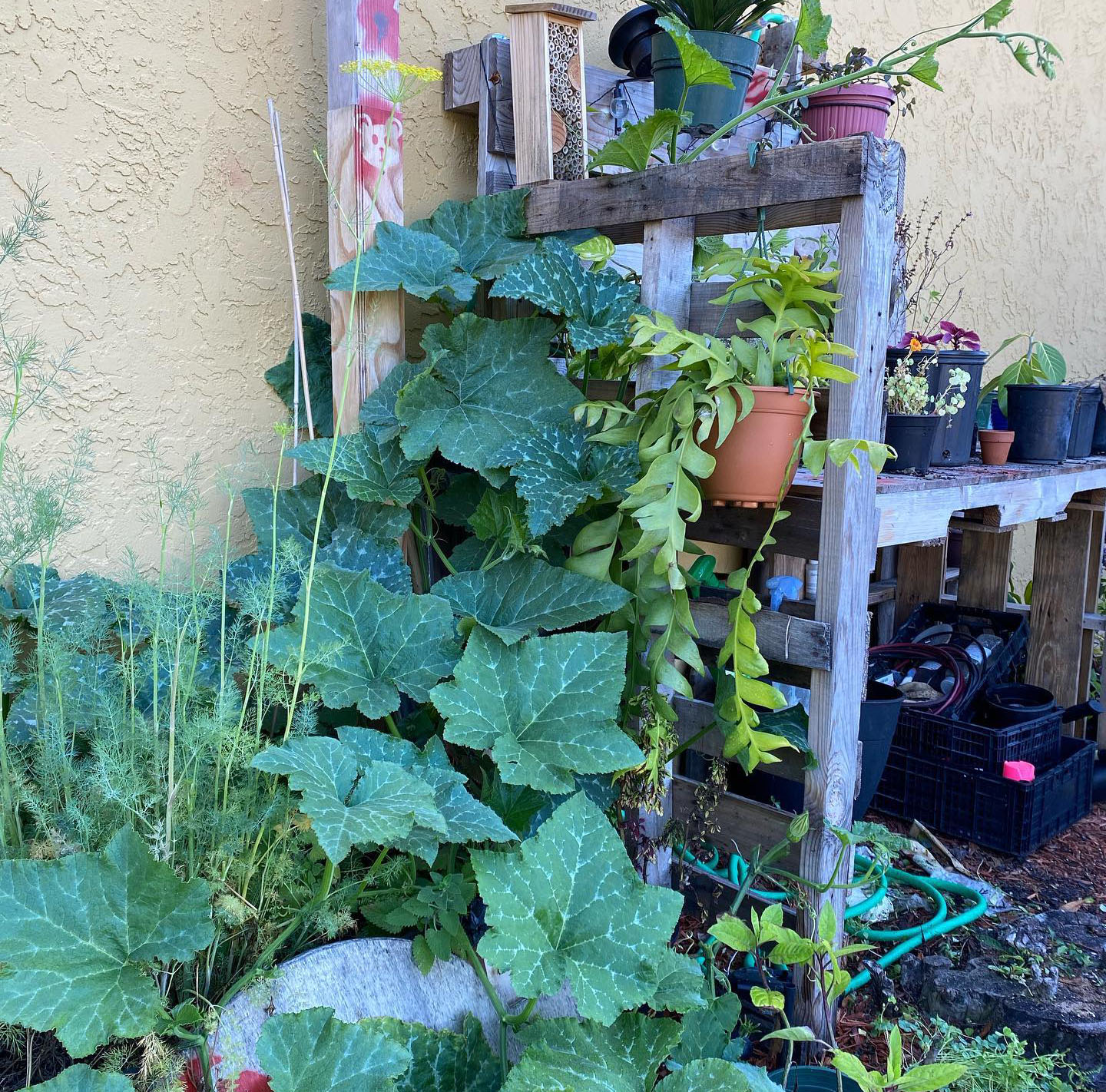 About Us SpeakeasyFam